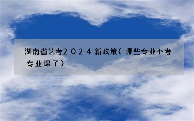 湖南省艺考2024新政策(哪些专业不考专业课了)