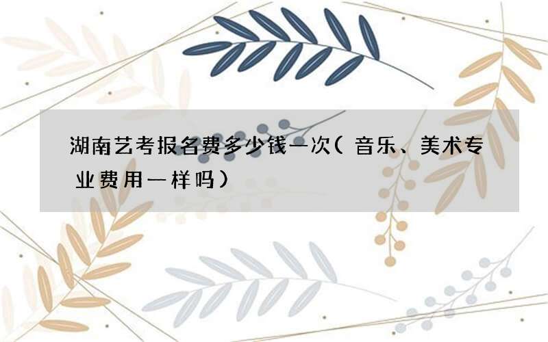 湖南艺考报名费多少钱一次(音乐、美术专业费用一样吗)