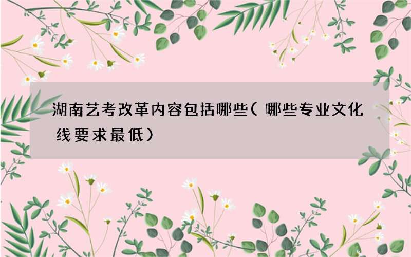 湖南艺考改革内容包括哪些(哪些专业文化线要求最低)