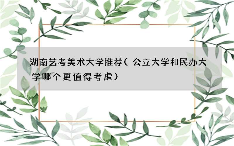 湖南艺考美术大学推荐(公立大学和民办大学哪个更值得考虑)